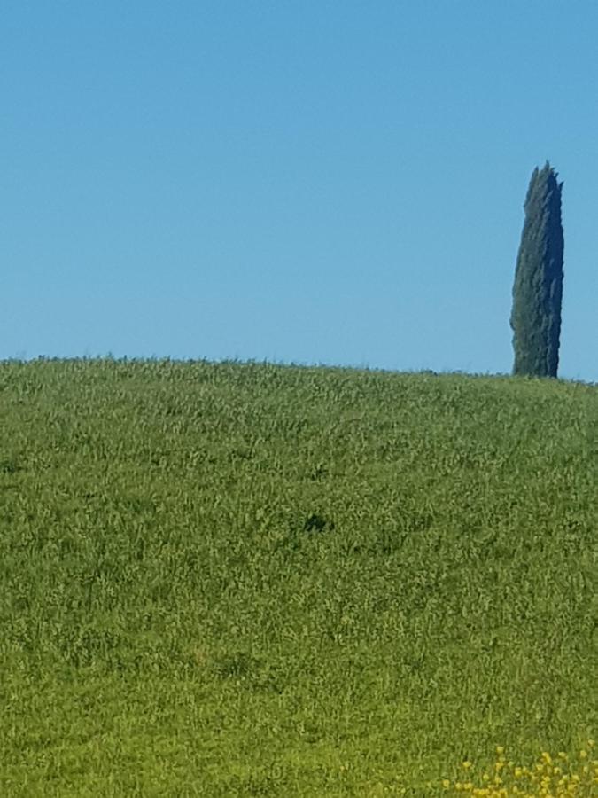 Casa Per L'Osticcio Vista Sulla Val D'Orcia Apartment Montalcino Exterior foto