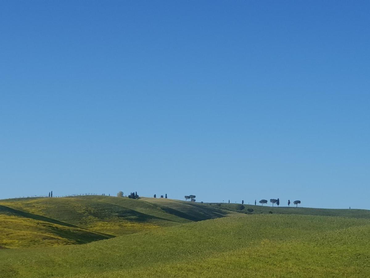 Casa Per L'Osticcio Vista Sulla Val D'Orcia Apartment Montalcino Exterior foto