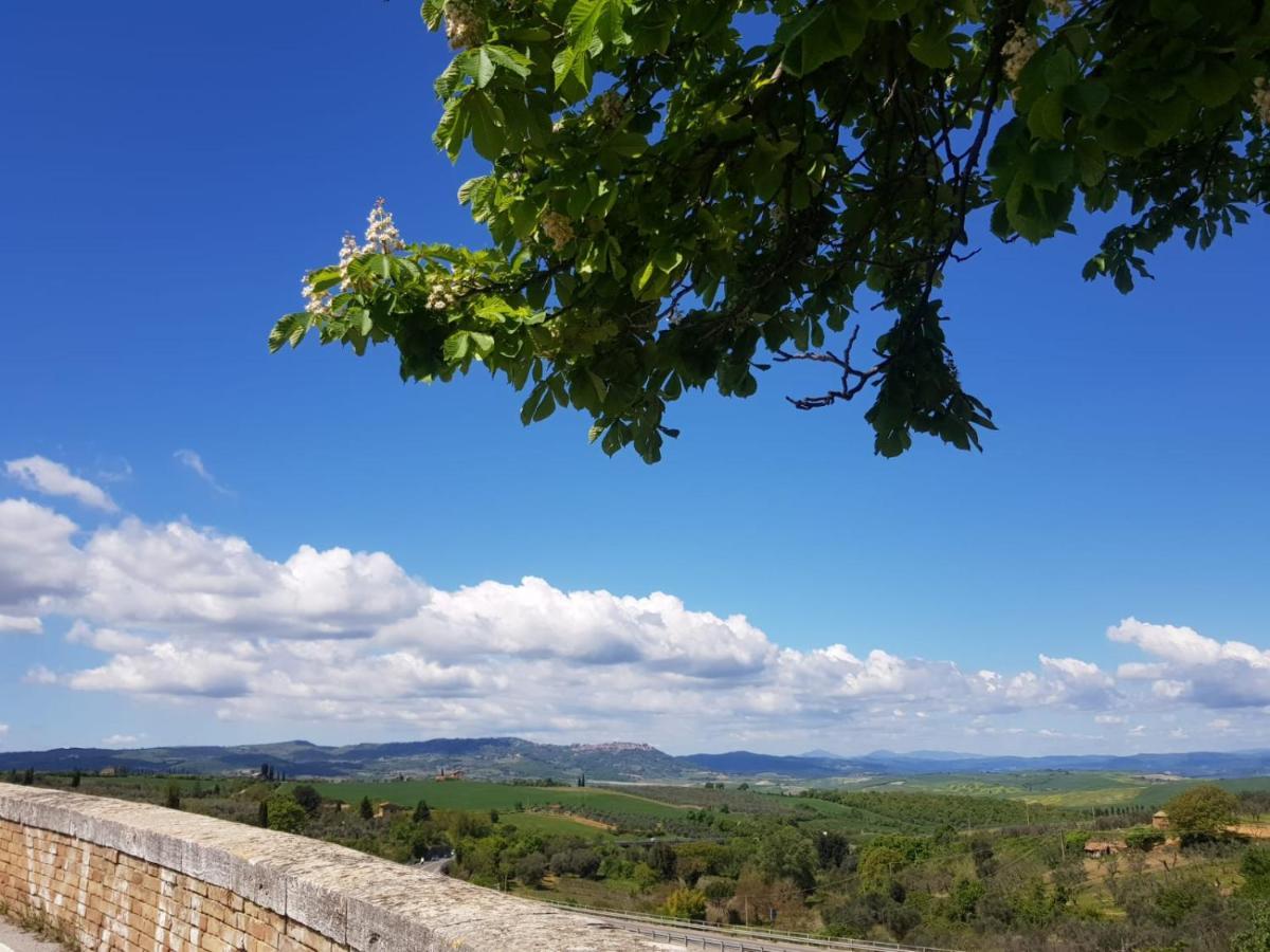 Casa Per L'Osticcio Vista Sulla Val D'Orcia Apartment Montalcino Exterior foto