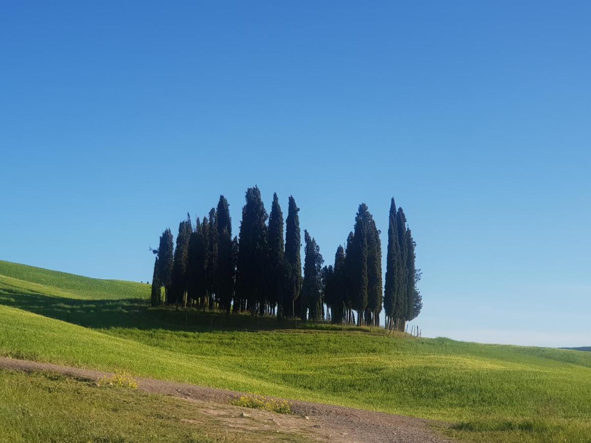 Casa Per L'Osticcio Vista Sulla Val D'Orcia Apartment Montalcino Exterior foto