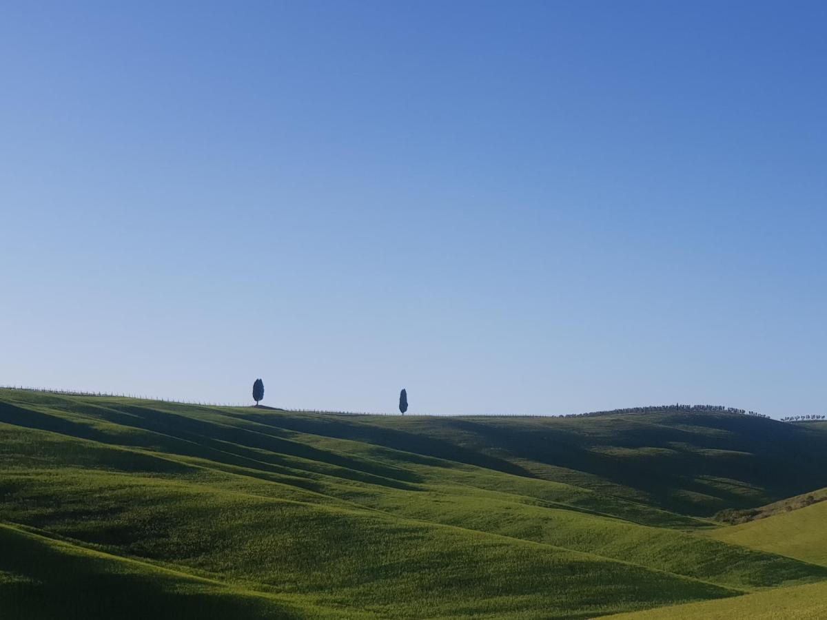 Casa Per L'Osticcio Vista Sulla Val D'Orcia Apartment Montalcino Exterior foto