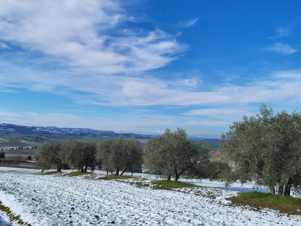 Casa Per L'Osticcio Vista Sulla Val D'Orcia Apartment Montalcino Exterior foto