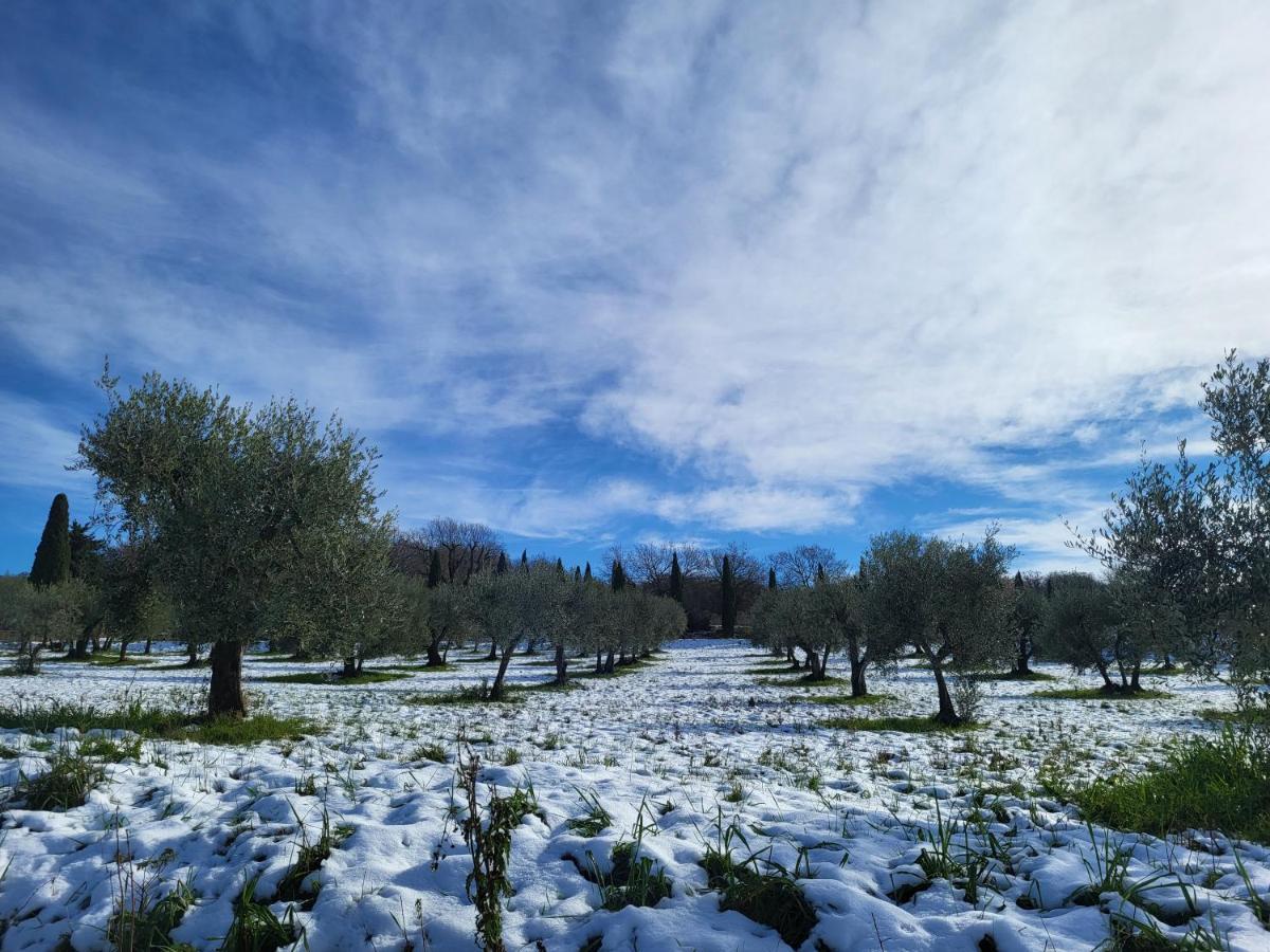 Casa Per L'Osticcio Vista Sulla Val D'Orcia Apartment Montalcino Exterior foto